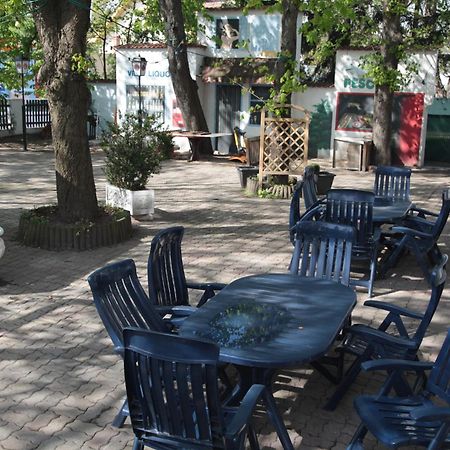 Pension Casa Topolino Wiener Neustadt Esterno foto